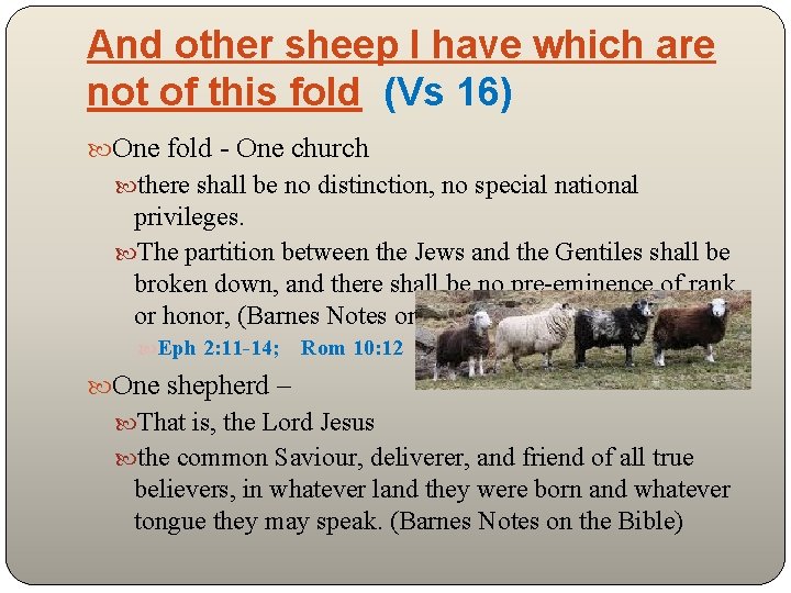 And other sheep I have which are not of this fold (Vs 16) One