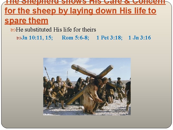 The Shepherd shows His Care & Concern for the sheep by laying down His