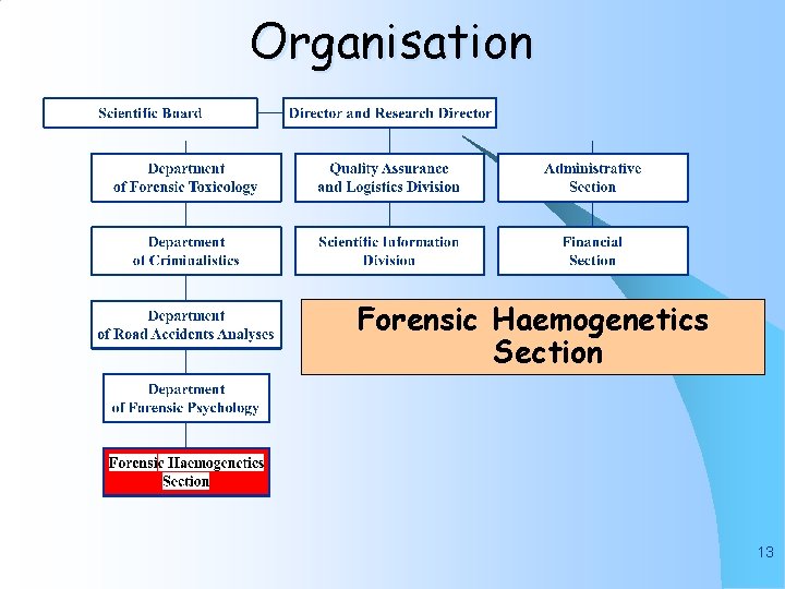 Organisation Forensic Haemogenetics Section 13 