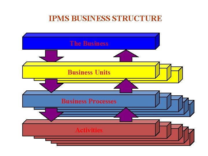 IPMS BUSINESS STRUCTURE The Business Units Business Processes Activities 