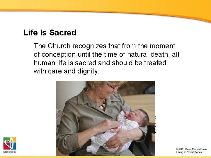 Life Is Sacred © shutterstock/Rikard Stadler The Church recognizes that from the moment of