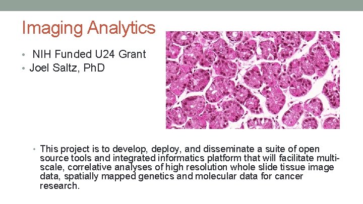 Imaging Analytics • NIH Funded U 24 Grant • Joel Saltz, Ph. D •