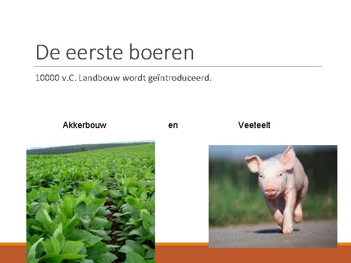 De eerste boeren 10000 v. C. Landbouw wordt geïntroduceerd. Akkerbouw en Veeteelt 