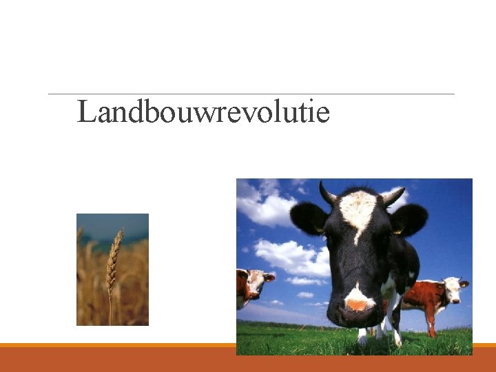 Landbouwrevolutie 