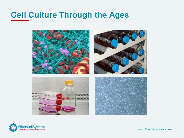 Cell Culture Through the Ages www. fibercellsystems. com 