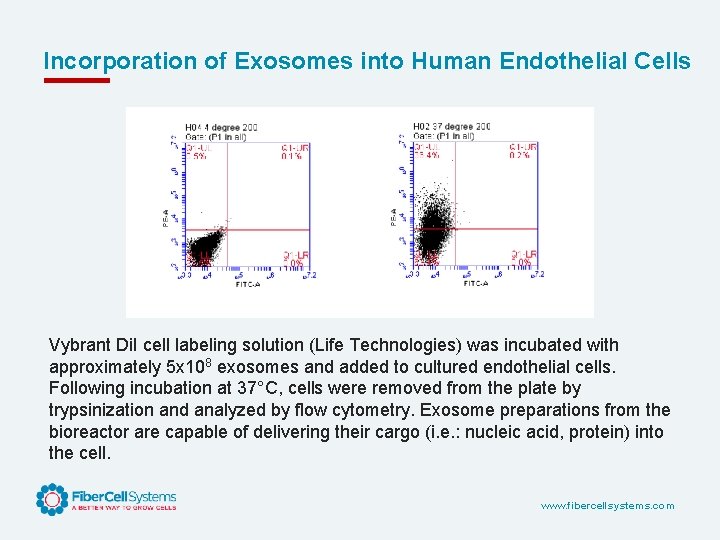 Incorporation of Exosomes into Human Endothelial Cells Vybrant Di. I cell labeling solution (Life
