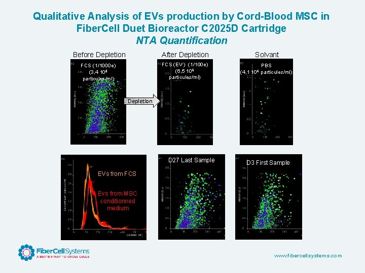 Qualitative Analysis of EVs production by Cord-Blood MSC in Fiber. Cell Duet Bioreactor C