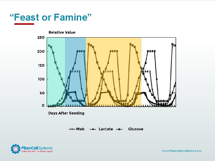 “Feast or Famine” www. fibercellsystems. com 