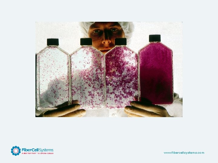 www. fibercellsystems. com 