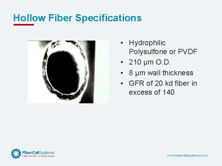 Hollow Fiber Specifications • Hydrophilic Polysulfone or PVDF • 210 µm O. D. •