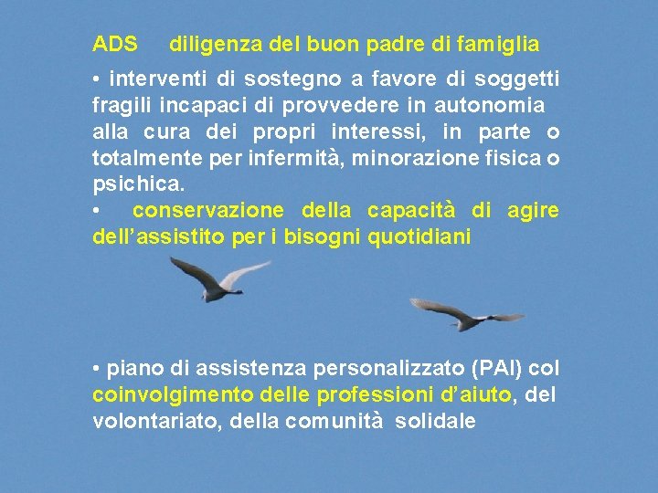 ADS diligenza del buon padre di famiglia • interventi di sostegno a favore di