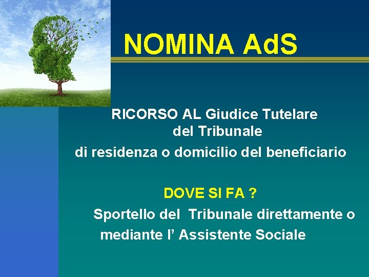 NOMINA Ad. S RICORSO AL Giudice Tutelare del Tribunale di residenza o domicilio del