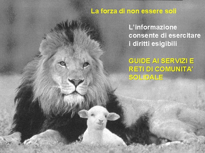 La forza di non essere soli L’informazione consente di esercitare i diritti esigibili GUIDE