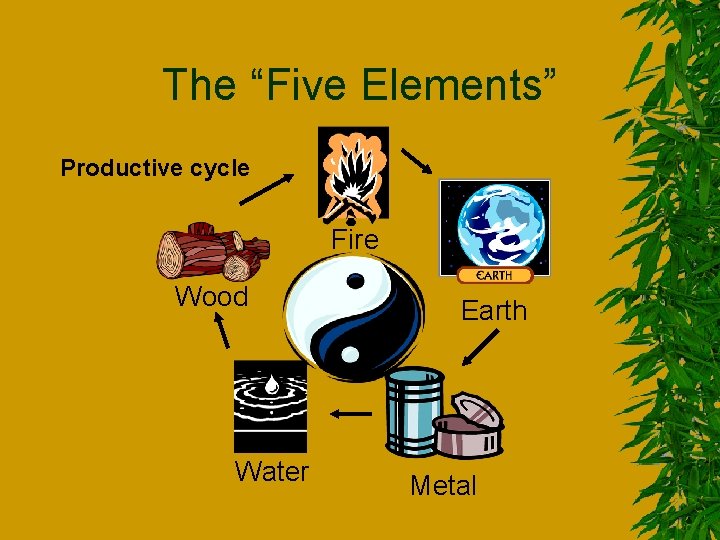 The “Five Elements” Productive cycle Fire Wood Water Earth Metal 