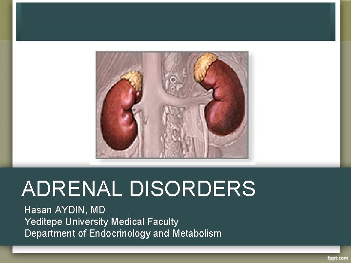 ADRENAL DISORDERS Hasan AYDIN, MD Yeditepe University Medical Faculty Department of Endocrinology and Metabolism