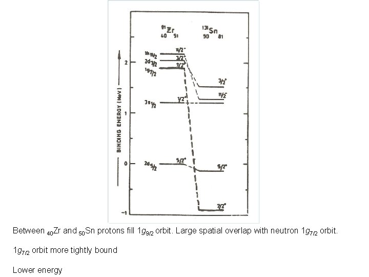 Between 40 Zr and 50 Sn protons fill 1 g 9/2 orbit. Large spatial