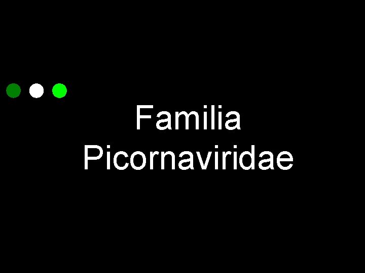 Familia Picornaviridae 