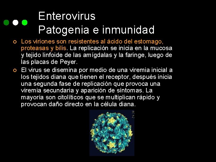 Enterovirus Patogenia e inmunidad ¢ ¢ Los viriones son resistentes al ácido del estomago,