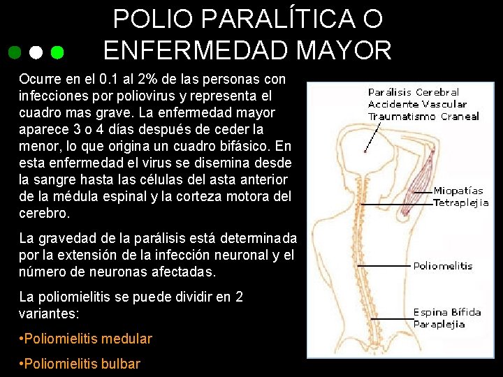 POLIO PARALÍTICA O ENFERMEDAD MAYOR Ocurre en el 0. 1 al 2% de las