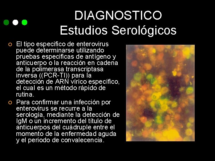 DIAGNOSTICO Estudios Serológicos ¢ ¢ El tipo especifico de enterovirus puede determinarse utilizando pruebas