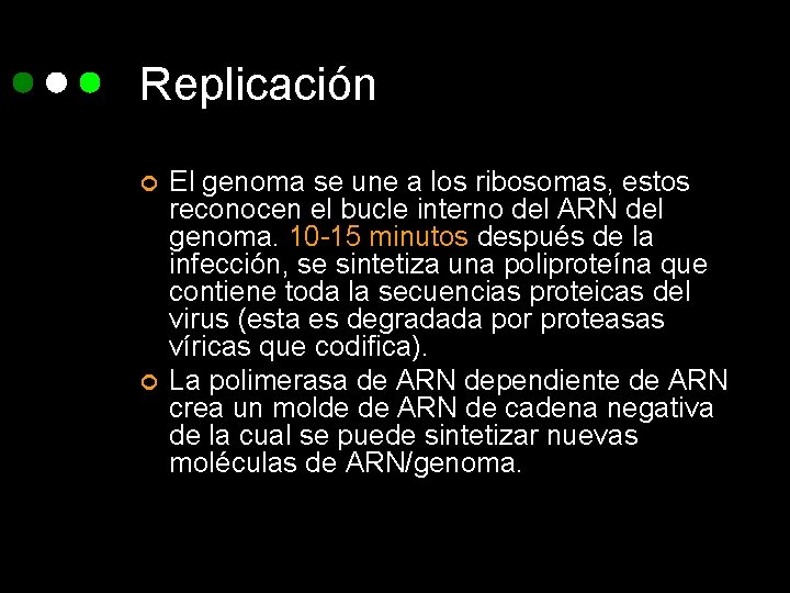 Replicación ¢ ¢ El genoma se une a los ribosomas, estos reconocen el bucle