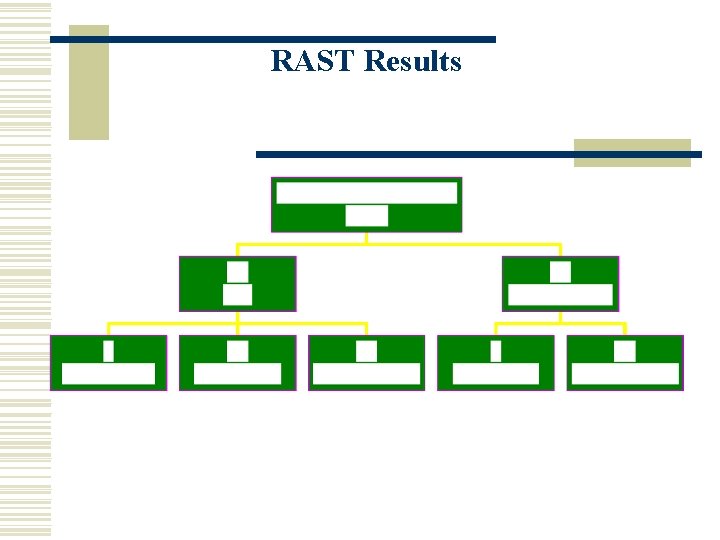 RAST Results 