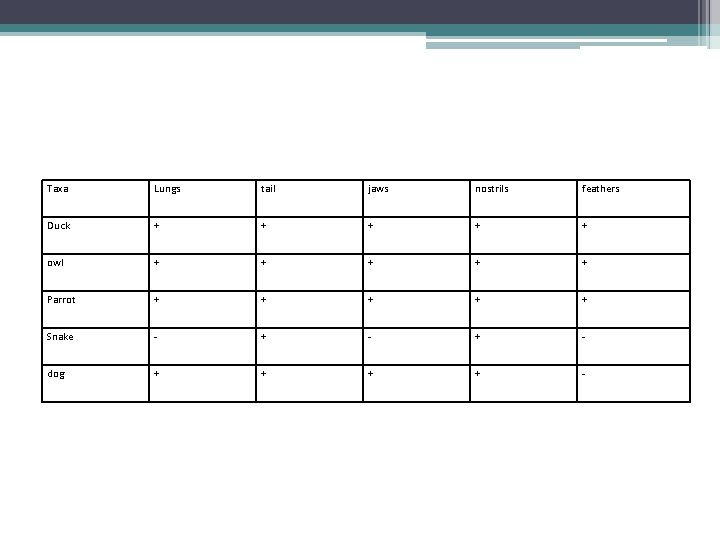 Taxa Lungs tail jaws nostrils feathers Duck + + + owl + + +
