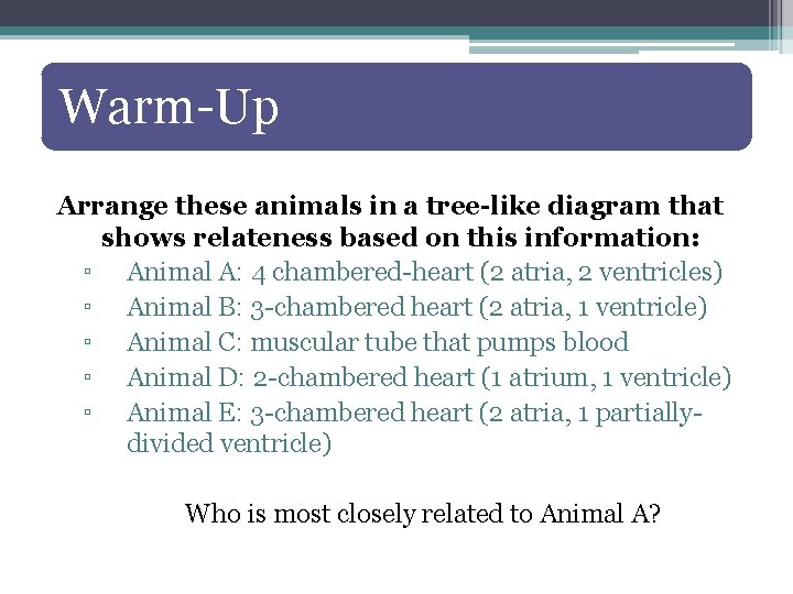 Warm-Up Arrange these animals in a tree-like diagram that shows relateness based on this