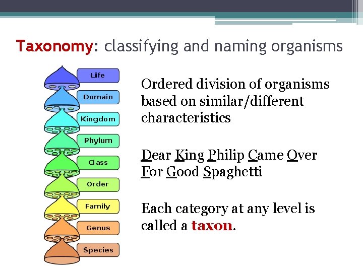 Taxonomy: classifying and naming organisms Ordered division of organisms based on similar/different characteristics Dear