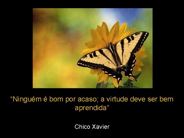 “Ninguém é bom por acaso; a virtude deve ser bem aprendida” Chico Xavier 