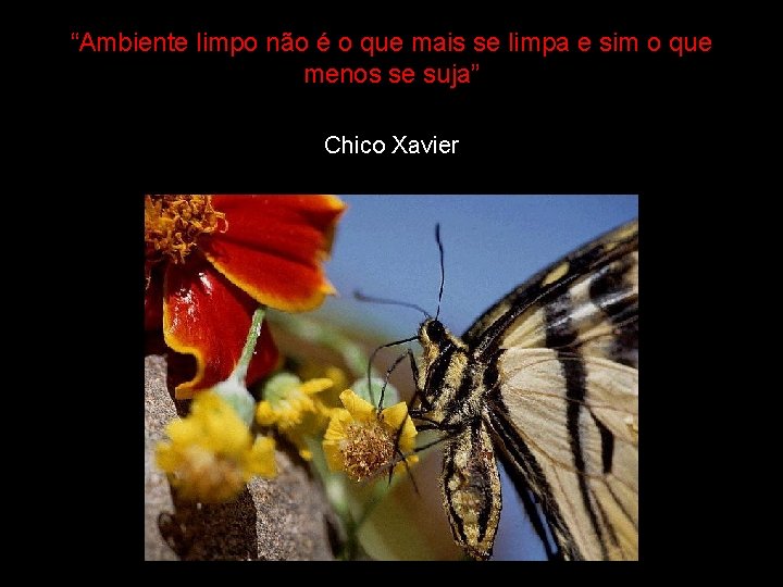 “Ambiente limpo não é o que mais se limpa e sim o que menos