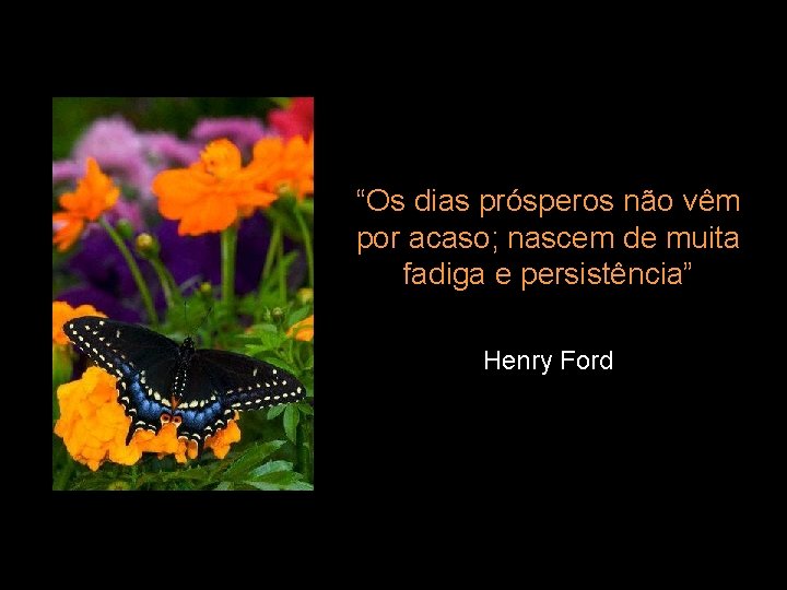 “Os dias prósperos não vêm por acaso; nascem de muita fadiga e persistência” Henry