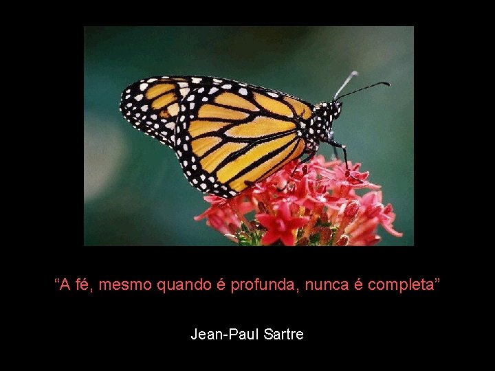“A fé, mesmo quando é profunda, nunca é completa” Jean-Paul Sartre 