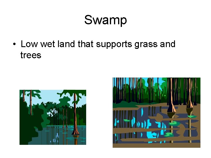 Swamp • Low wet land that supports grass and trees 