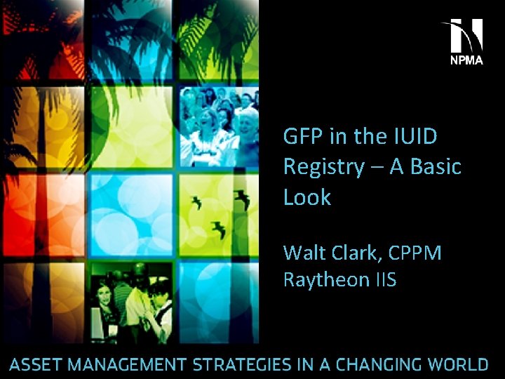 GFP in the IUID Registry – A Basic Look Walt Clark, CPPM Raytheon IIS