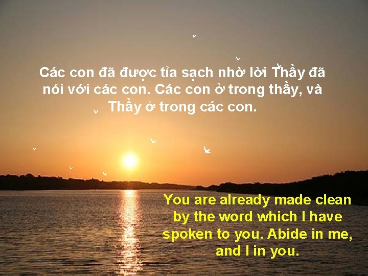 Các con đã được tỉa sạch nhờ lời Thầy đã nói với các con. Các con đã được tỉa sạch nhờ lời Thầy đã nói với các con.