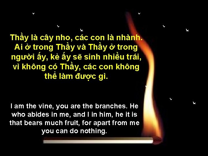 Thầy là cây nho, các con là nhành. Ai ở trong Thầy và Thầy Thầy là cây nho, các con là nhành. Ai ở trong Thầy và Thầy
