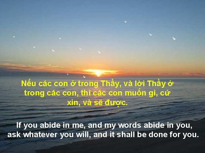 Nếu các con ở trong Thầy, và lời Thầy ở trong các con, thì Nếu các con ở trong Thầy, và lời Thầy ở trong các con, thì