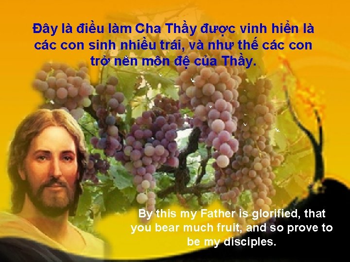 Ðây là điều làm Cha Thầy được vinh hiển là các con sinh nhiều Ðây là điều làm Cha Thầy được vinh hiển là các con sinh nhiều