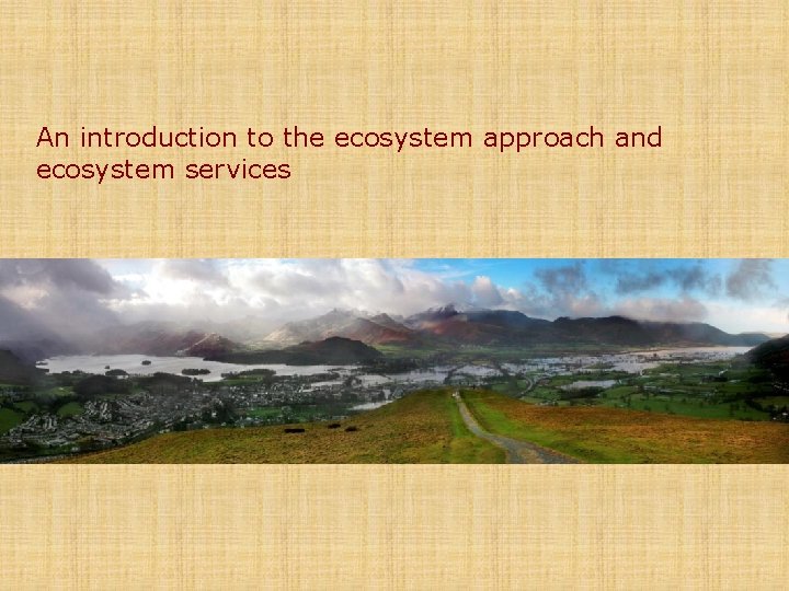 An introduction to the ecosystem approach and ecosystem services 
