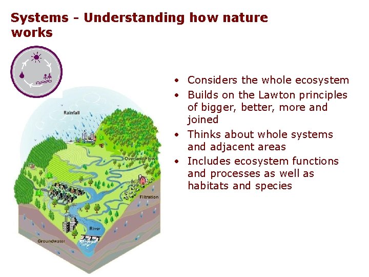 Systems - Understanding how nature works • Considers the whole ecosystem • Builds on