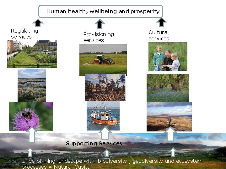 Human health, wellbeing and prosperity Regulating services Provisioning services Cultural services Supporting Services Underpinning