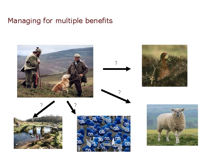 Managing for multiple benefits ? ? 