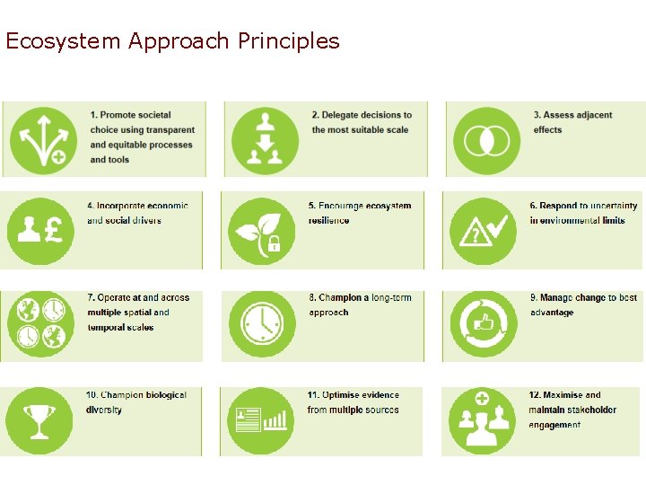 Ecosystem Approach Principles 