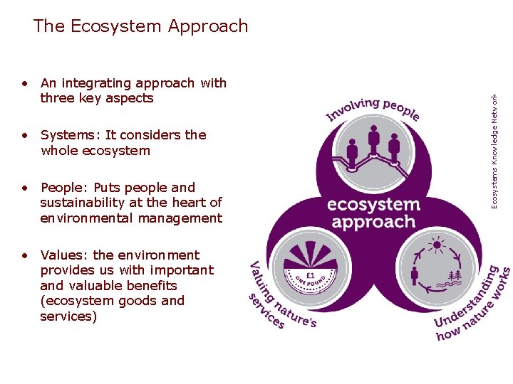  • An integrating approach with three key aspects • Systems: It considers the