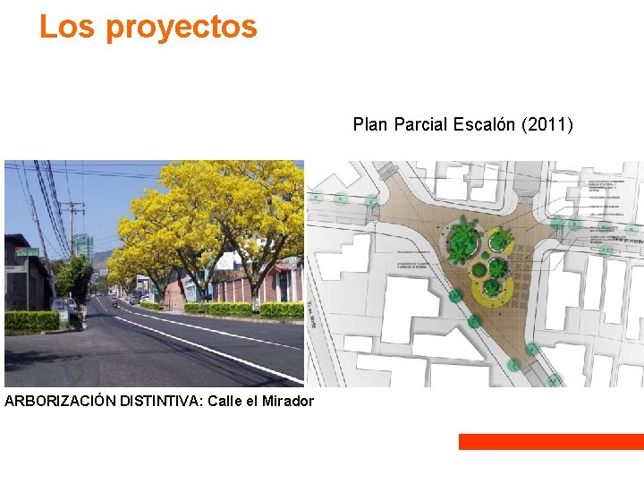 Los proyectos Plan Parcial Escalón (2011) ARBORIZACIÓN DISTINTIVA: Calle el Mirador Los proyectos Plan Parcial Escalón (2011) ARBORIZACIÓN DISTINTIVA: Calle el Mirador