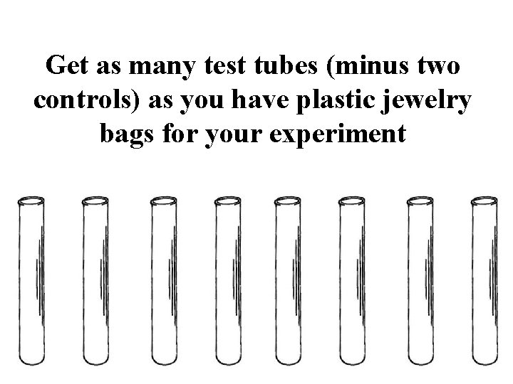 Get as many test tubes (minus two controls) as you have plastic jewelry bags