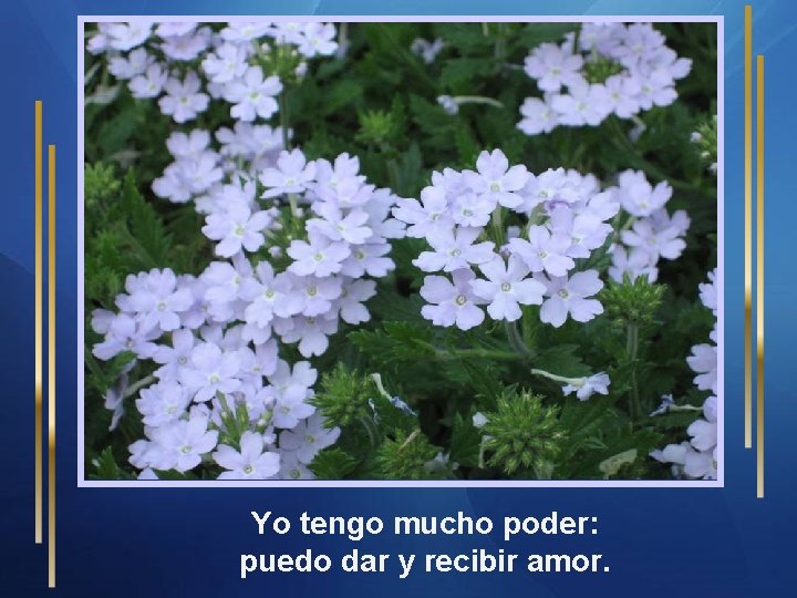 Yo tengo mucho poder: puedo dar y recibir amor. 