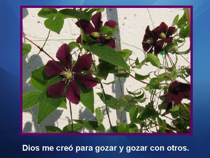Dios me creó para gozar y gozar con otros. 