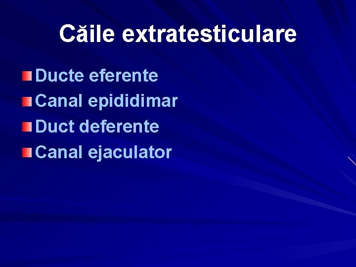 Căile extratesticulare Ducte eferente Canal epididimar Duct deferente Canal ejaculator 